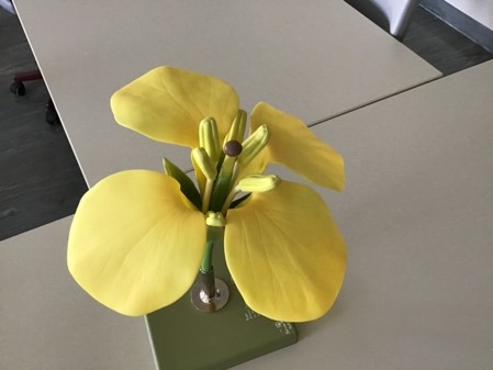 Biologie Bild 2