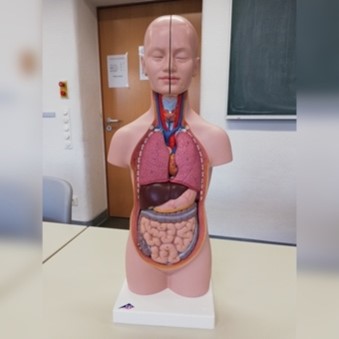 Biologie Bild 4