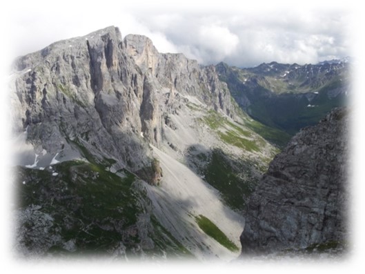 Biologie Bild 7