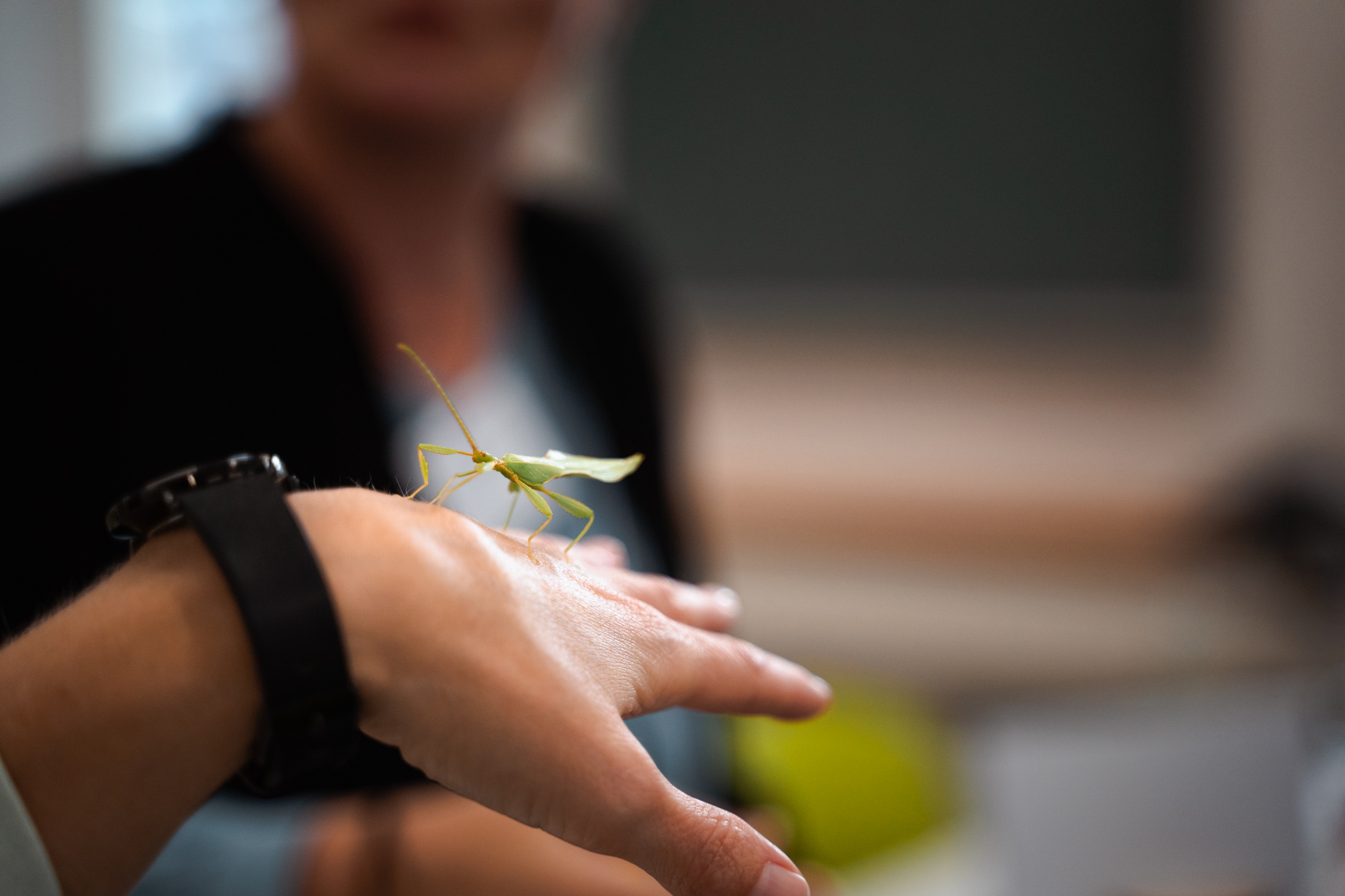 Seminarjubil&auml;um