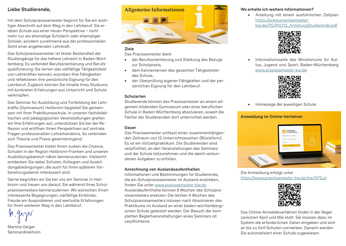 Flyer Praxissemester