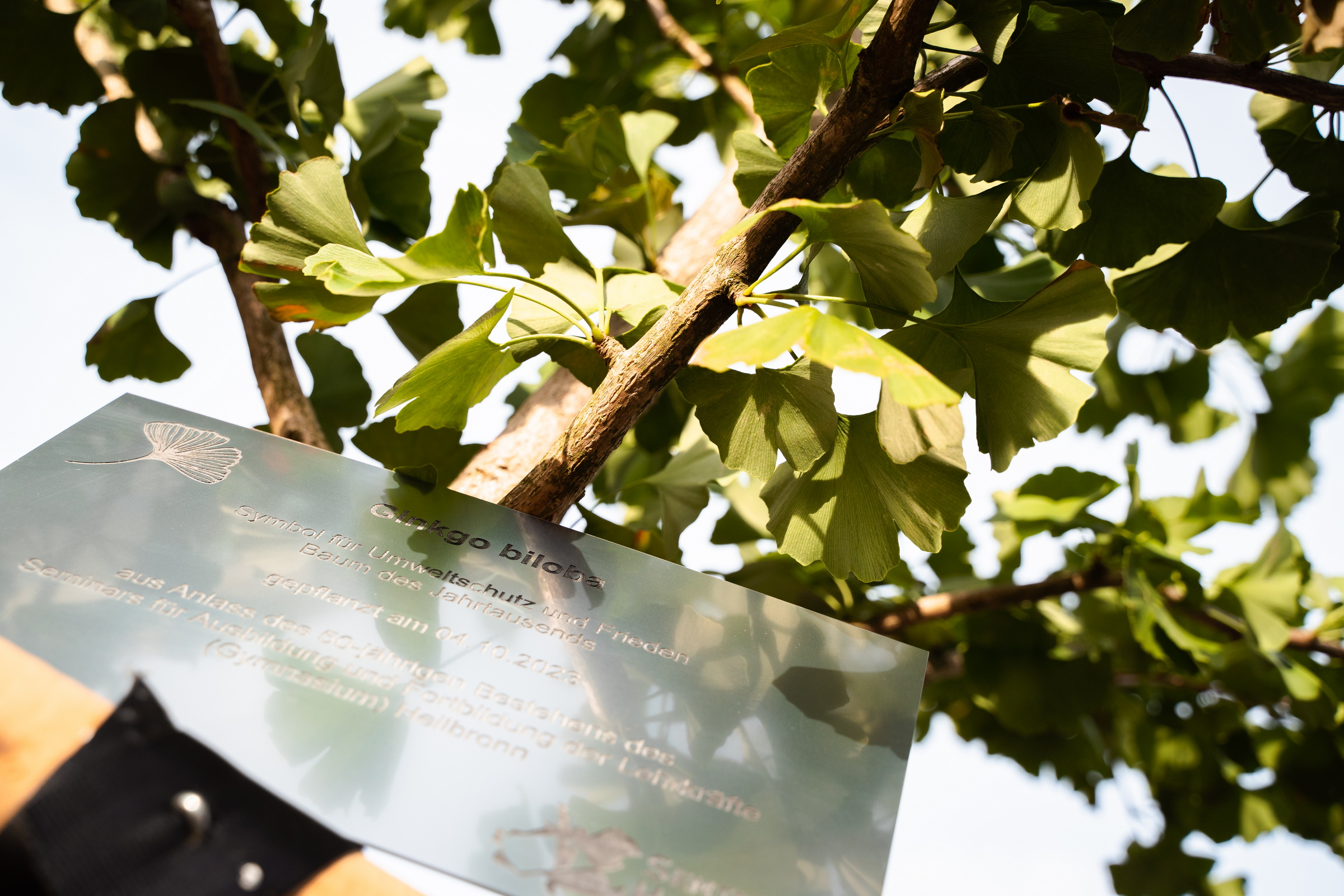 Seminarjubil&auml;um